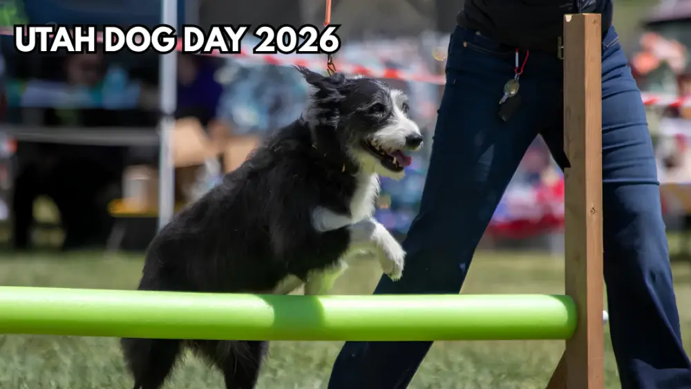 utah-dog-day