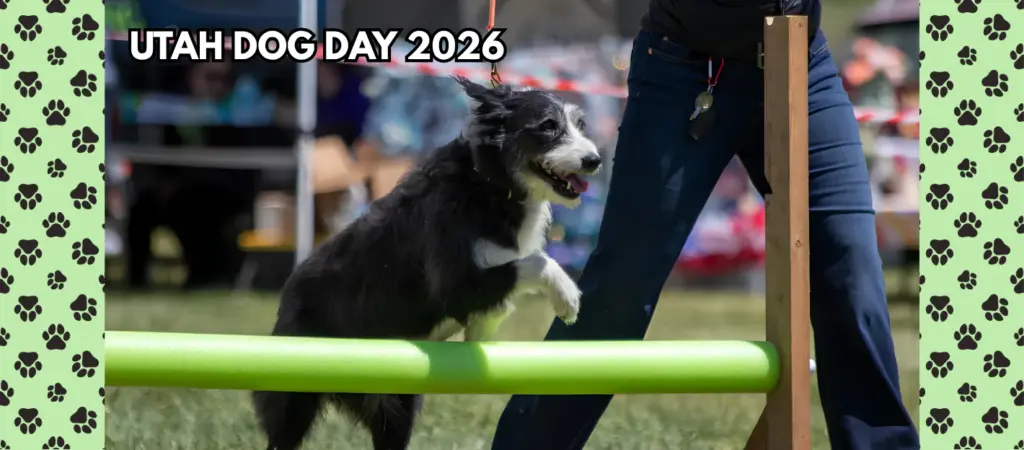 utah-dog-day