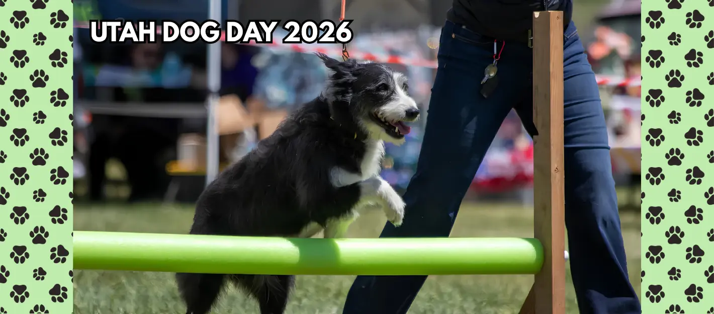 utah-dog-day