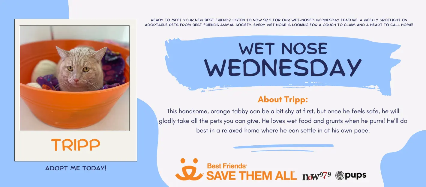 wet-nose-wednesday-flipper-tripp