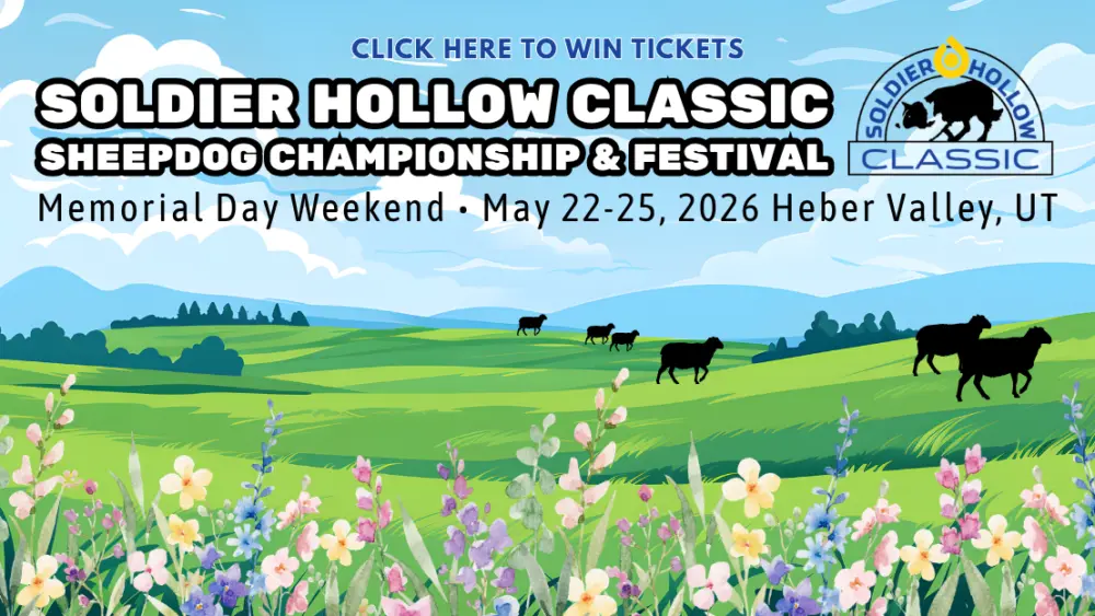 soldier-hollow-classic-sheepdog-championship-festival-2