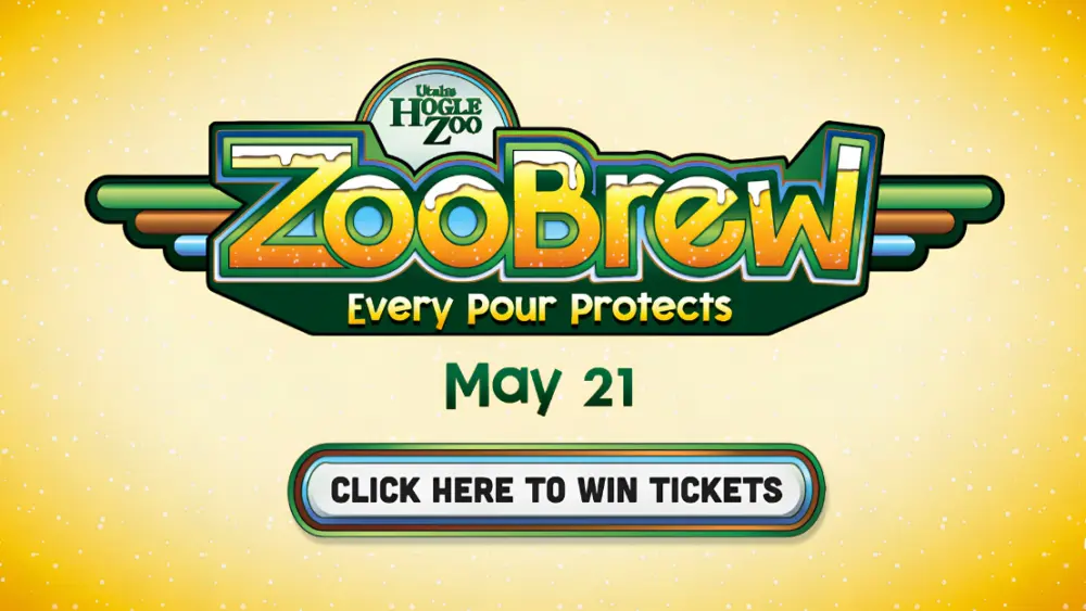 zoo-brew-contest