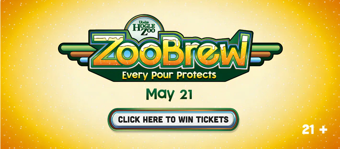 zoo-brew-contest