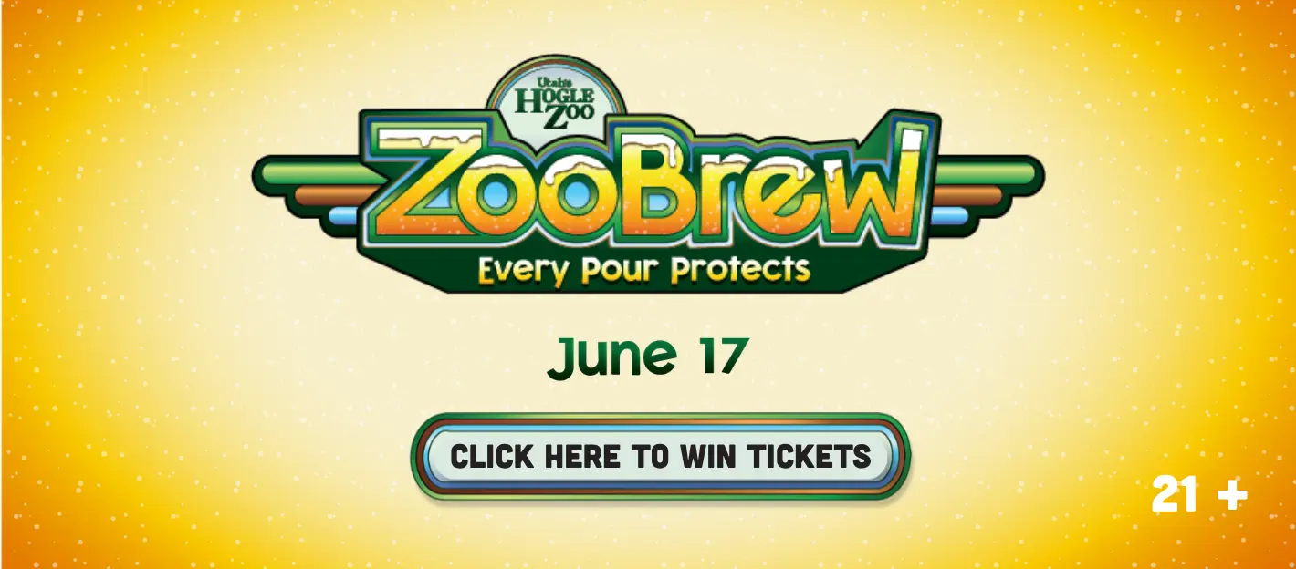 zoobrew-june-17-1