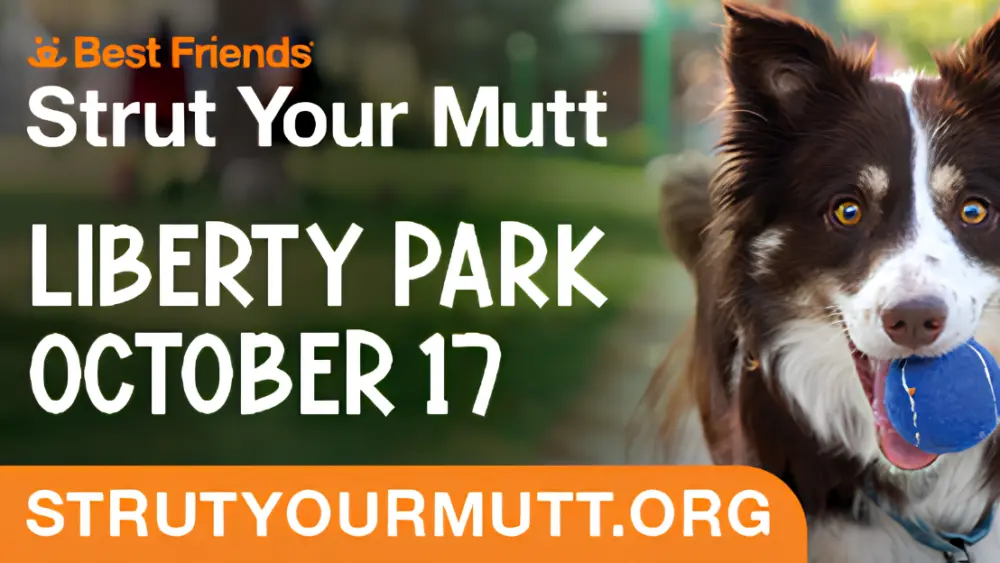 strutt-your-mutt-banner-2026