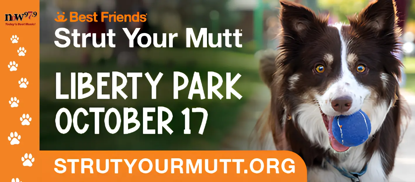 strutt-your-mutt-banner-2026