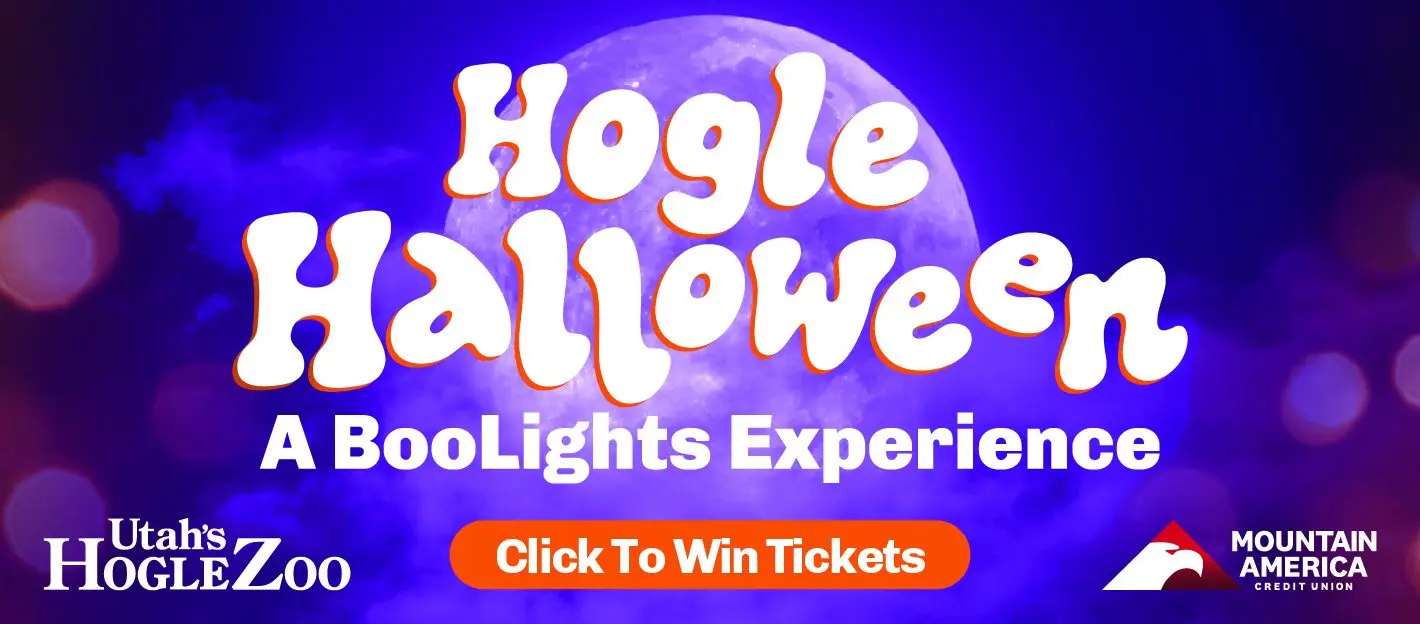 hh2026_wintix_1420x624