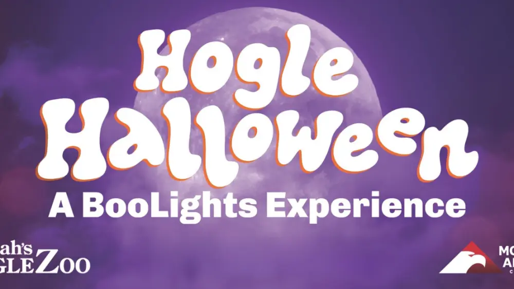 hogle-halloween-no-contest-banner