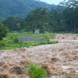 Flash floods that hit the lower plains with water mixed with mud