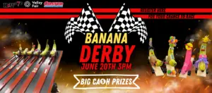 banana-derby-flipper-flames-1