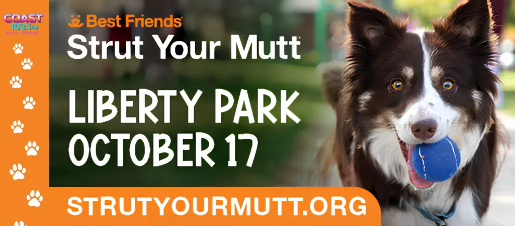 strutt-your-mutt-banner-2026-klo