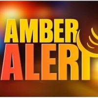 amber-alert-issued-for-missing-children-after-2-found-dead-in-berrien-county