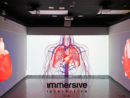 immersive-wall-projection