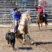 whitney-jennings-breakaway