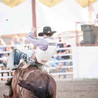 keenan-hayes-buffalo-bill-rodeo-2024-jpg-2