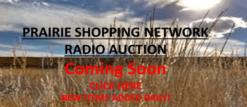 auction-coming-soon
