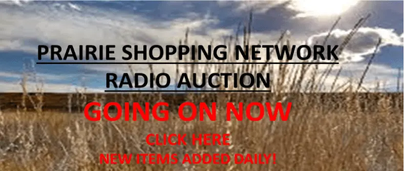 auction-going-on-now-2
