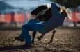 tait-kvistad-sw-buffalo-bill-rodeo-2025-4