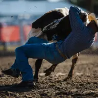 tait-kvistad-sw-buffalo-bill-rodeo-2025-4