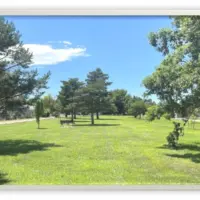 public-tree-inventory-project