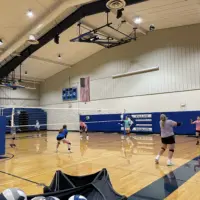 wallace-vb-picture