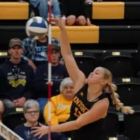 taryn-stearns