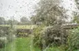 green-garden-seen-through-rain-splattered-window-2a71b8h