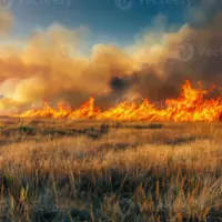 a-roaring-wildfire-spreads-rapidly-through-dry-grassland-under-a-dramatic-sunset-sky-photo