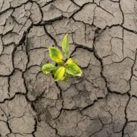 drought-dried-mud