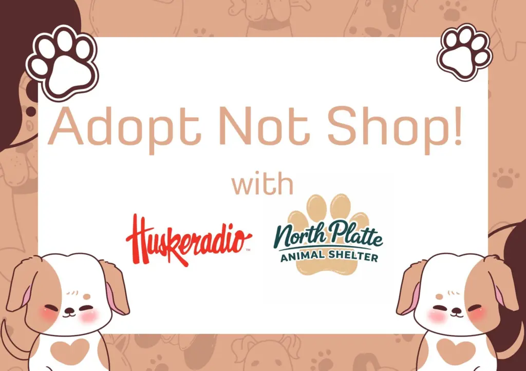 adopt-not-shop