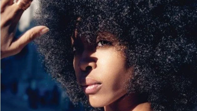 m_erykahbadu630_112311