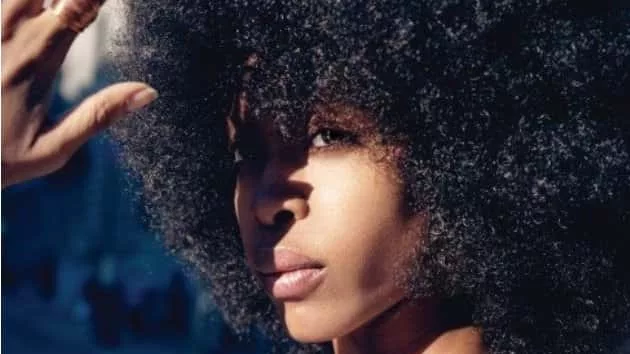 m_erykahbadu630_112311-4