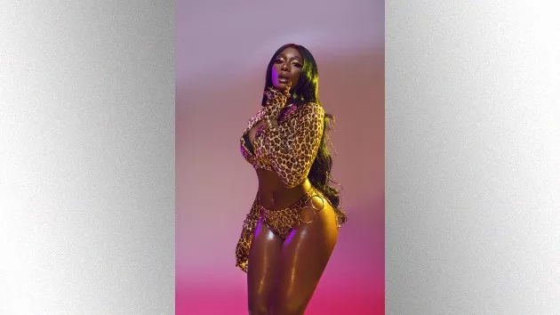 m_megantheestallion_1162019-2