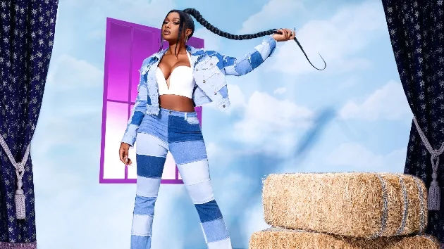 m_megantheestallion_111820