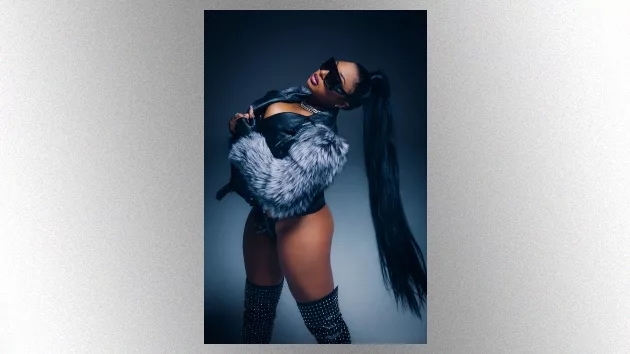 m_megantheestallion_021021