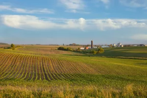 iowa-farm-and-fields-of-young-corn-at-sunset-on-a-beautiful-day-in-late-spring-5