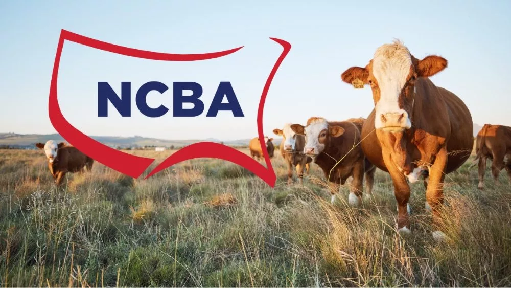 NCBA Logo