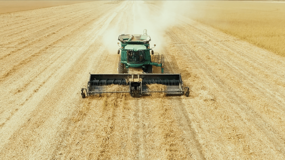 dual-bed-pickup-header-in-the-field-3-1000x563639616-1