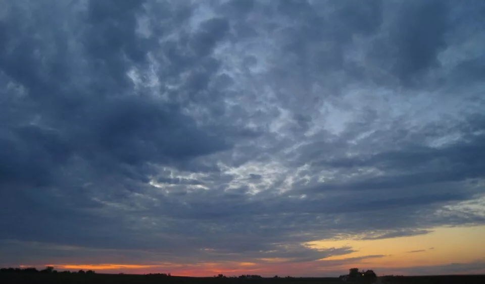 agronomy_photos_none_8652-lowres281101