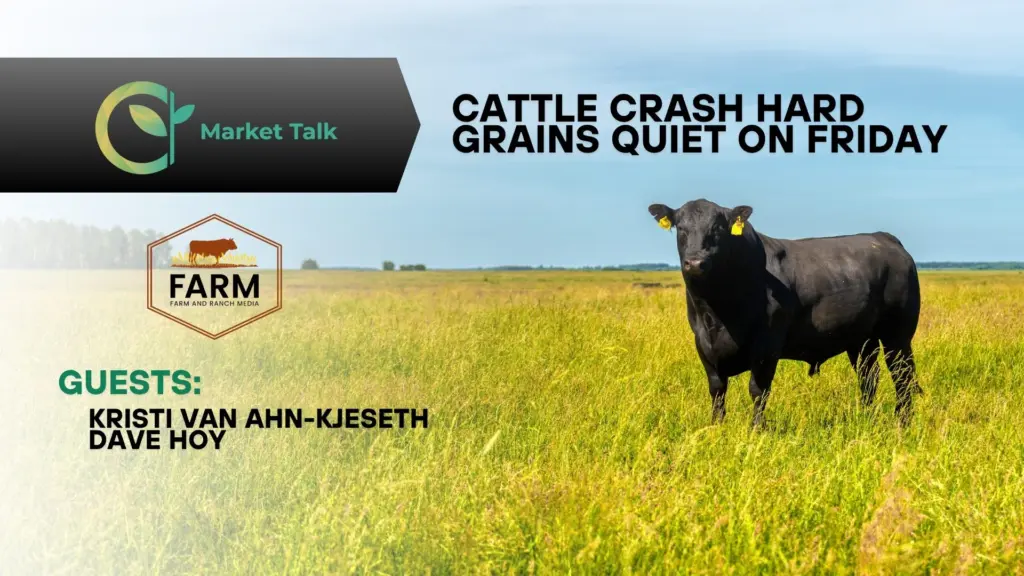 8825-mt-new-youtube-thumbnail-4