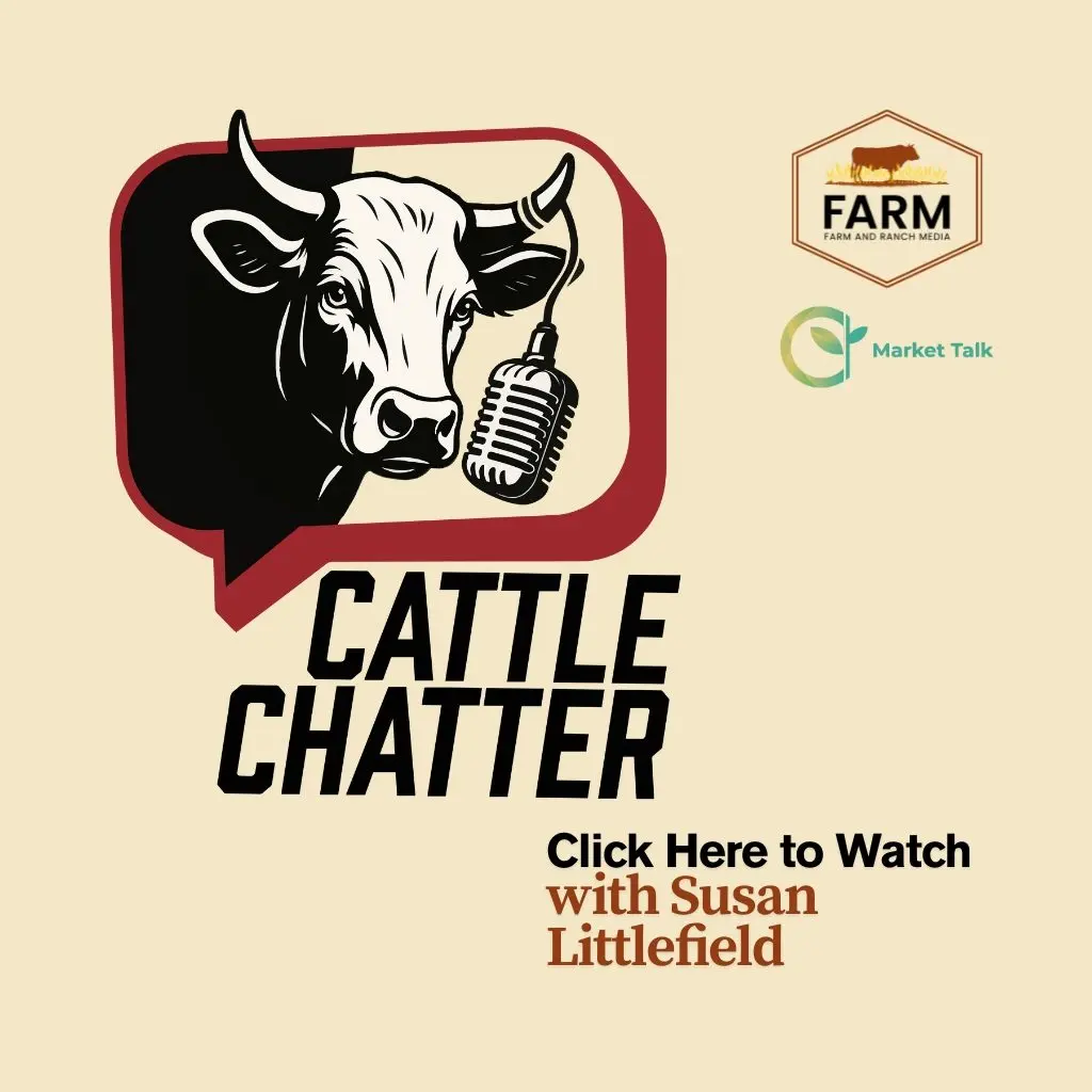 cattle-chatter-podcast-logo-300-x-600-px-1024-x-1024-px