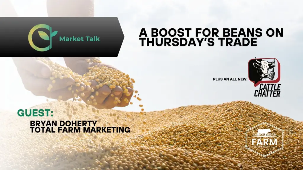 82125-mt-new-youtube-thumbnail-1