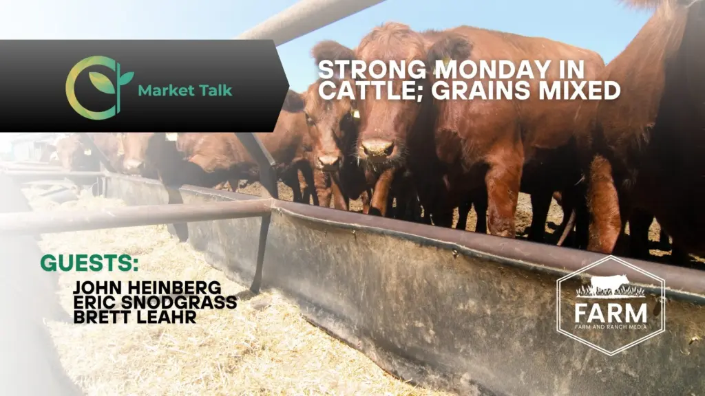 91525-mt-new-youtube-thumbnail-2