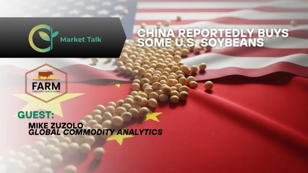 102925-mt-new-youtube-thumbnail