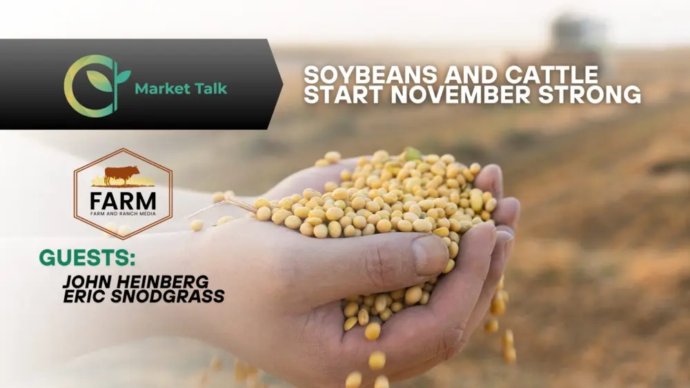 11325-mt-new-youtube-thumbnail-2