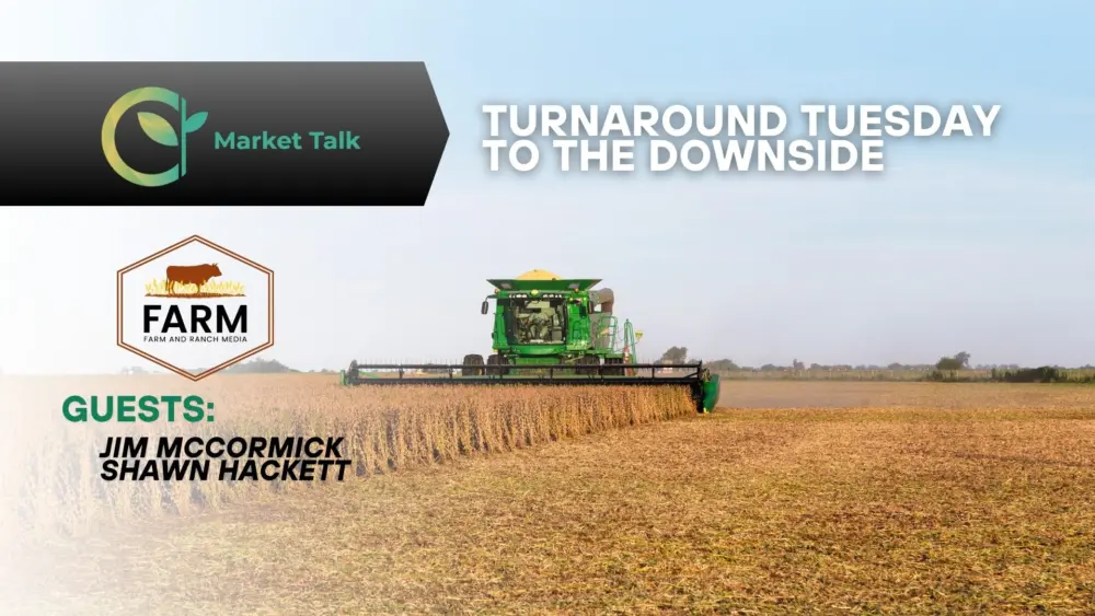 11425-mt-new-youtube-thumbnail