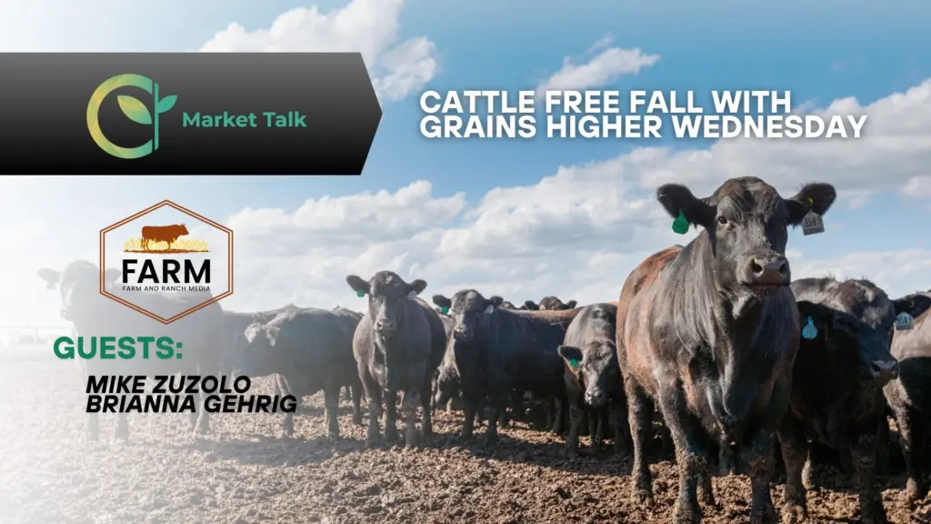 11525-mt-new-youtube-thumbnail-1