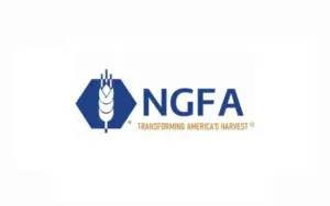 basic-logo-background-template-for-web1021-x-640-px-41-898x563742302-1