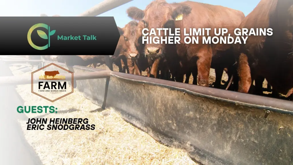 111025-mt-new-youtube-thumbnail-2