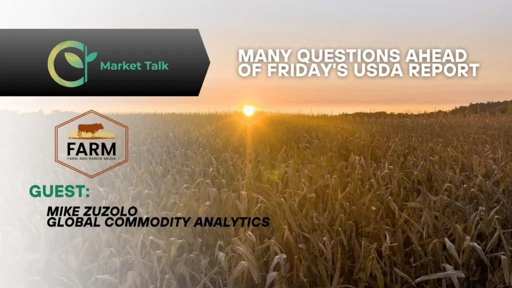 111125-mt-new-youtube-thumbnail-1